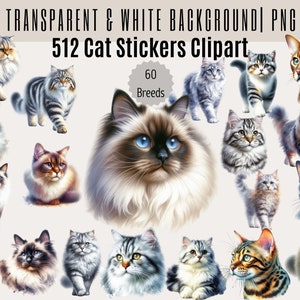 512 Cat Stickers Clipart Bundle, Watercolor Cats Clipart Sublimation Designs, Cat Breeds PNG File,Cute Catss Digital Illustration,Kitten PNG