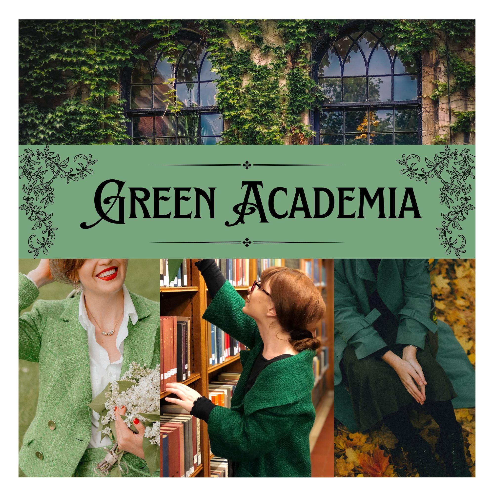 Green Academia Thrifted Mystery Clothing Bundle; Green Academia Gift; Botany Scholar Aesthetic Box, for Her