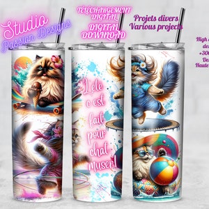 Été-Chats-S'amuser-Fun-Trampoline-Ballon plage -Hula Hoop - PNG - Digital download - En français - Gobelet 20oz -Tasse- Coussin -Sublimation