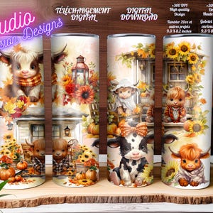 Vaches d'automne - Autumn cows - Fall season - Tournesols - Sunflowers - Tumbler 20oz - Gobelet 20oz - Wrap - PNG - 300+ dpi