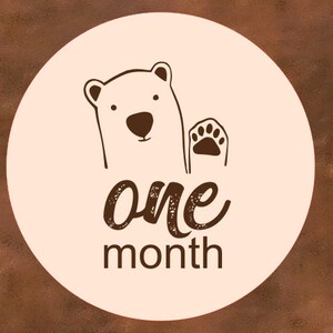 Cartes bébé ours, disques en bois, accessoire photo nouveau-né, faire-part de naissance, cadeau baby shower, baby-Meilenstein-Karten