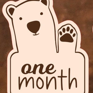 Cartes bébé ours, disques en bois, accessoire photo nouveau-né, faire-part de naissance, cadeau baby shower, baby-Meilenstein-Karten