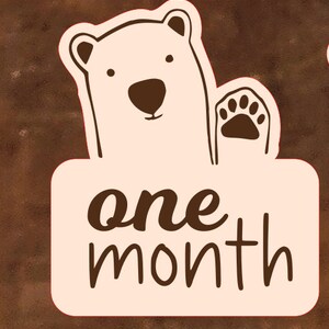 Cartes bébé ours, disques en bois, accessoire photo nouveau-né, faire-part de naissance, cadeau baby shower, baby-Meilenstein-Karten