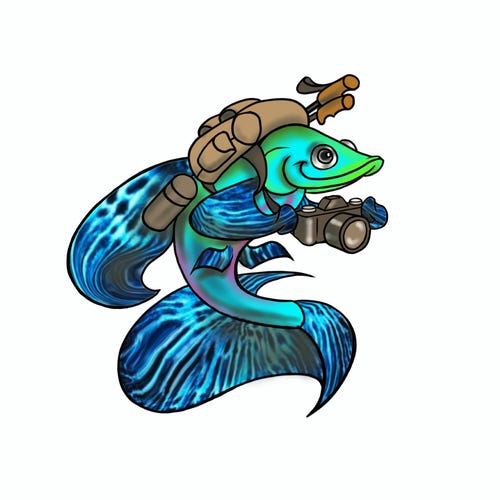 ハワイ - 鮮やかなオレンジ色のトロピカルハイビスカスの花のマウス