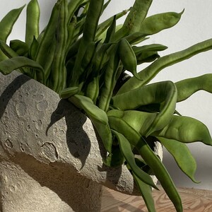 Beige vase with craters/ Ceramic vase with magma glaze image 6