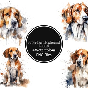 May include: Four watercolour illustrations of American Foxhounds. Each dog is depicted in a different pose, with splashes of watercolour paint around them. The text "American Foxhound Clipart 4 Watercolour PNG Files" is displayed in the centre of the image.