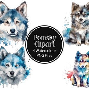 Watercolor Pomsky Png, 4 High quality PNGs, Pomsky Clipart, Pomsky PNG, Digital printable, Junk Journal, Paper craft, Scrapbooking