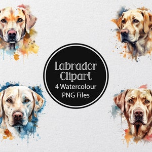 Watercolor Labrador, 4 High quality PNGs, Labrador Clipart, Labrador PNG, Digital printable, Junk Journal, Paper craft, Scrapbooking