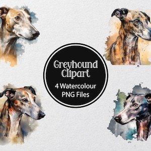 Levriero dell'acquerello, 4 PNG di alta qualità, Greyhound Clipart, Greyhound PNG, Digital printable, Junk Journal, Mestiere di carta, Scrapbooking