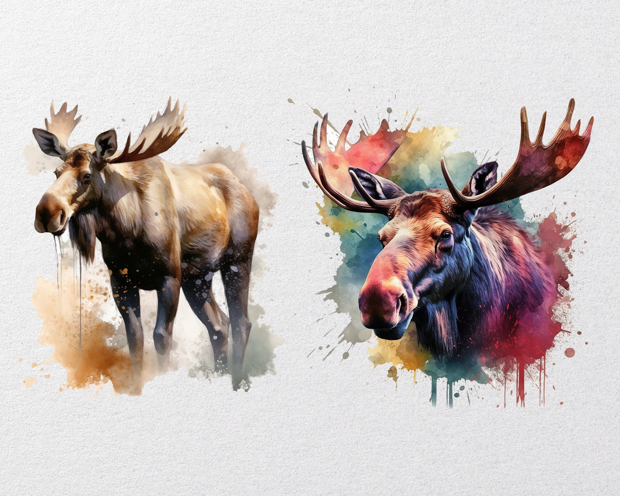 Watercolor Moose Png, 4 High Quality Pngs, Moose Clipart, Moose PNG ...