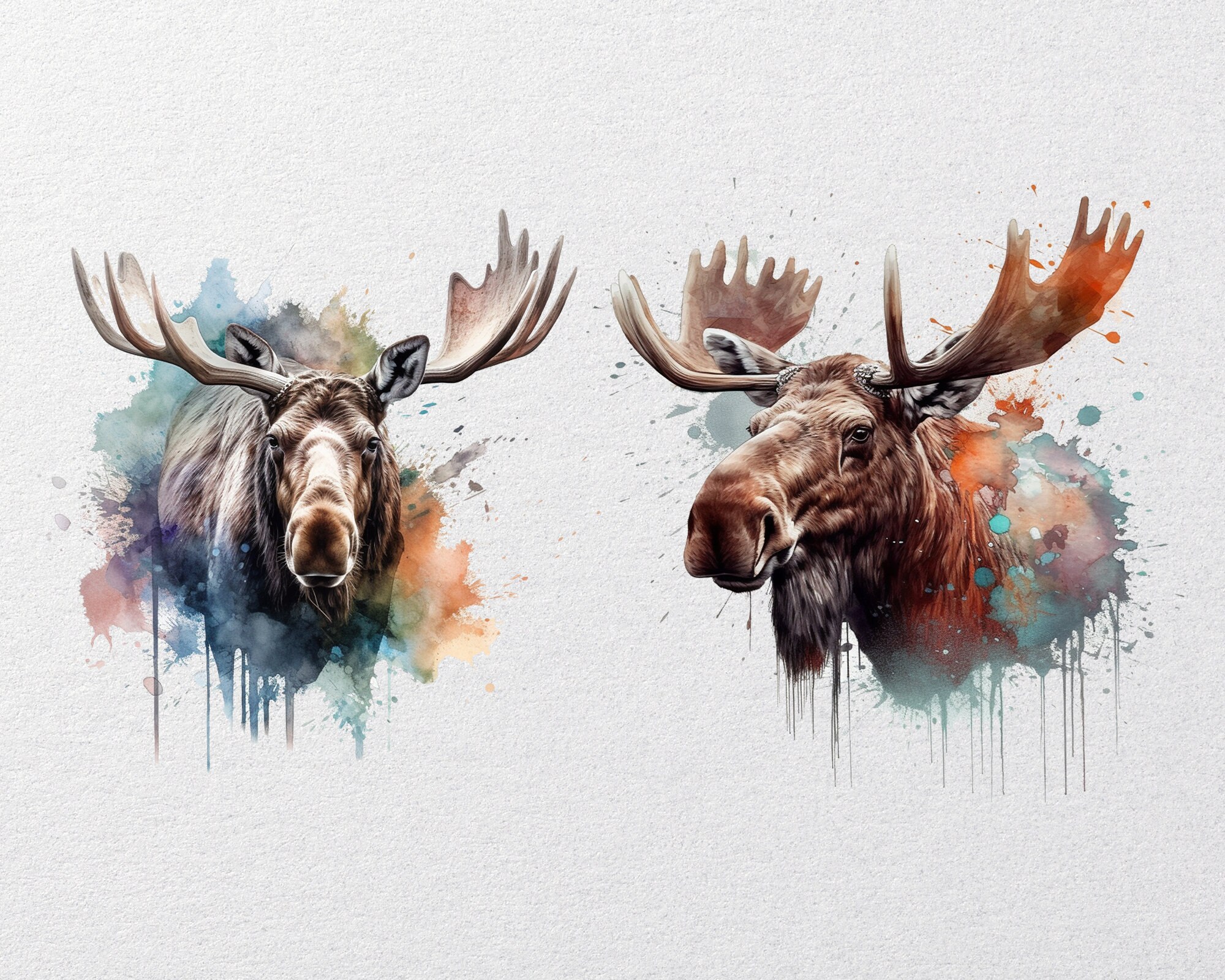 Watercolor Moose Png, 4 High Quality Pngs, Moose Clipart, Moose PNG ...