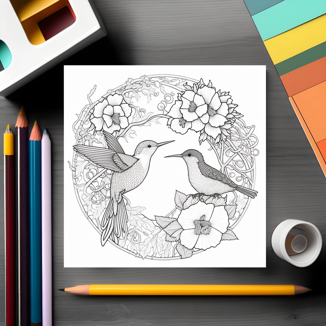Hummingbirds 40 Printable Coloring Pages Instant Download - Etsy