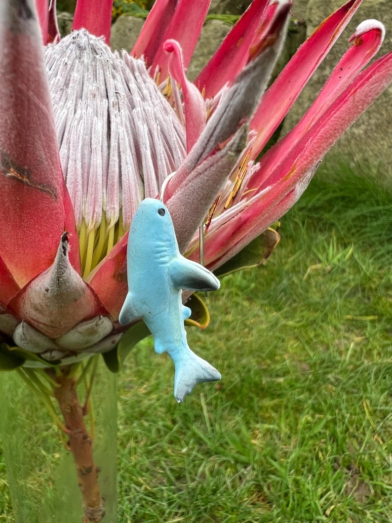 K&ouml;nnte beinhalten: Ein hellblaues, haif&ouml;rmiges Ornament h&auml;ngt vor einer gro&szlig;en Protea-Blume. Die Blume hat leuchtend rote Bl&uuml;tenbl&auml;tter und einen zentralen Kegel aus Wei&szlig; und Grau. Der Hintergrund ist verschwommenes gr&uuml;nes Gras.