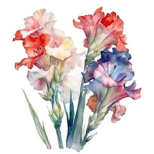 Gladiolus Bouquet Water Color Painting | 12 High Quality JPG Clipart Pack | August Flowers | Birth Month Flower | Printable JPG Clip Art
