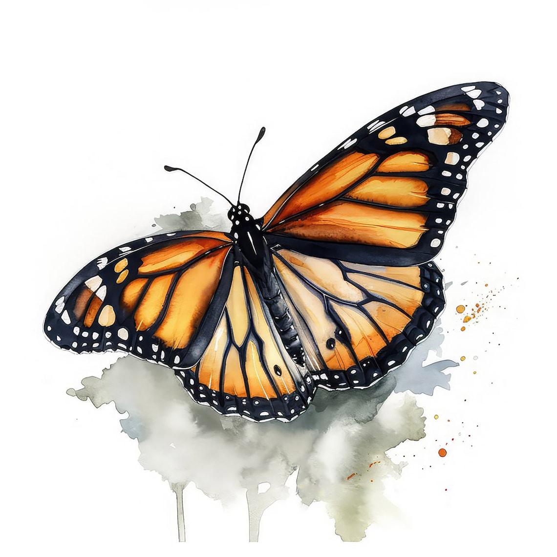 Monarch Butterfly Water Color Painting | 12 High Quality JPG Clipart ...