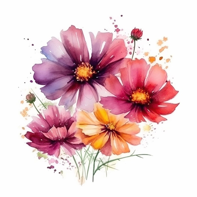 Cosmos Bouquet Water Color Painting | 12 High Quality JPG Clipart Pack ...