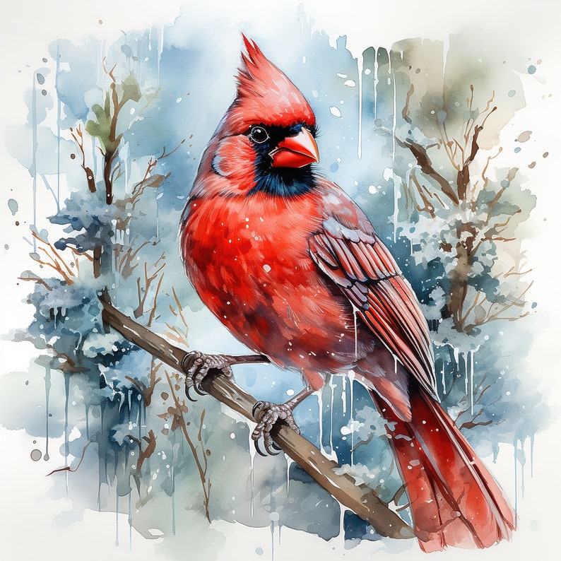 Cardinals Water Color Painting | 16 High Quality JPG Clipart Pack ...