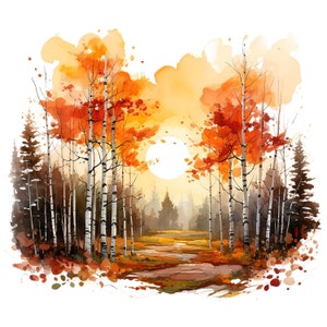 May include: Watercolor painting of a forest scene with birch trees in the foreground and a sun shining through the trees. The leaves on the trees are orange and yellow, and the ground is covered in fallen leaves.