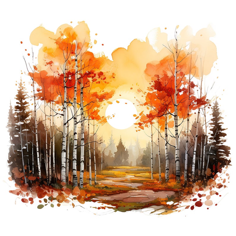 May include: Watercolor painting of a forest scene with birch trees in the foreground and a sun shining through the trees. The leaves on the trees are orange and yellow, and the ground is covered in fallen leaves.