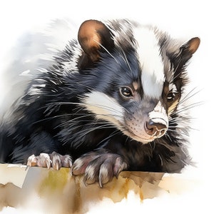 May include: A black and white watercolor painting of a small mammal with a white stripe on its face. The animal has a long snout and small ears. It is looking at the viewer with its head tilted slightly to the side.