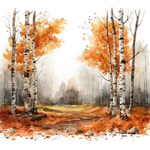 May include: Watercolor painting of a birch tree forest in autumn. The trees have white bark and orange leaves. A path leads through the forest.
