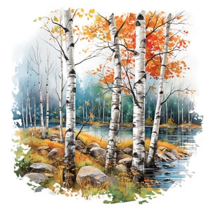 May include: A painting of a group of birch trees with white bark and yellow and orange leaves in the fall. The trees are standing in front of a lake with blue water.