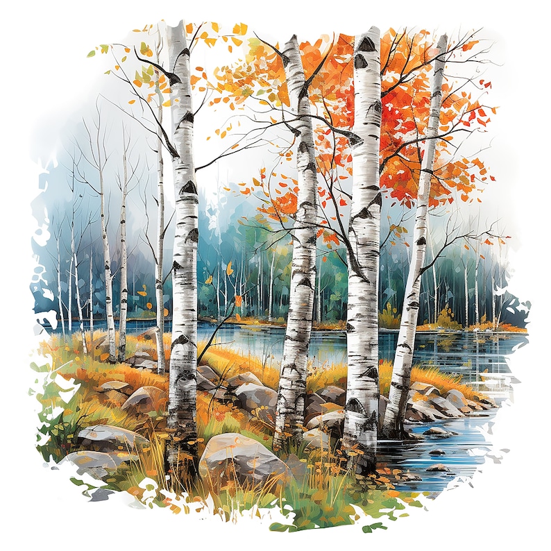 May include: A painting of a group of birch trees with white bark and yellow and orange leaves in the fall. The trees are standing in front of a lake with blue water.