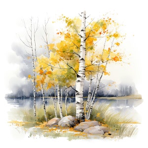 May include: Watercolor painting of a birch tree with yellow leaves in autumn. The tree is standing in front of a lake with a cloudy sky in the background.