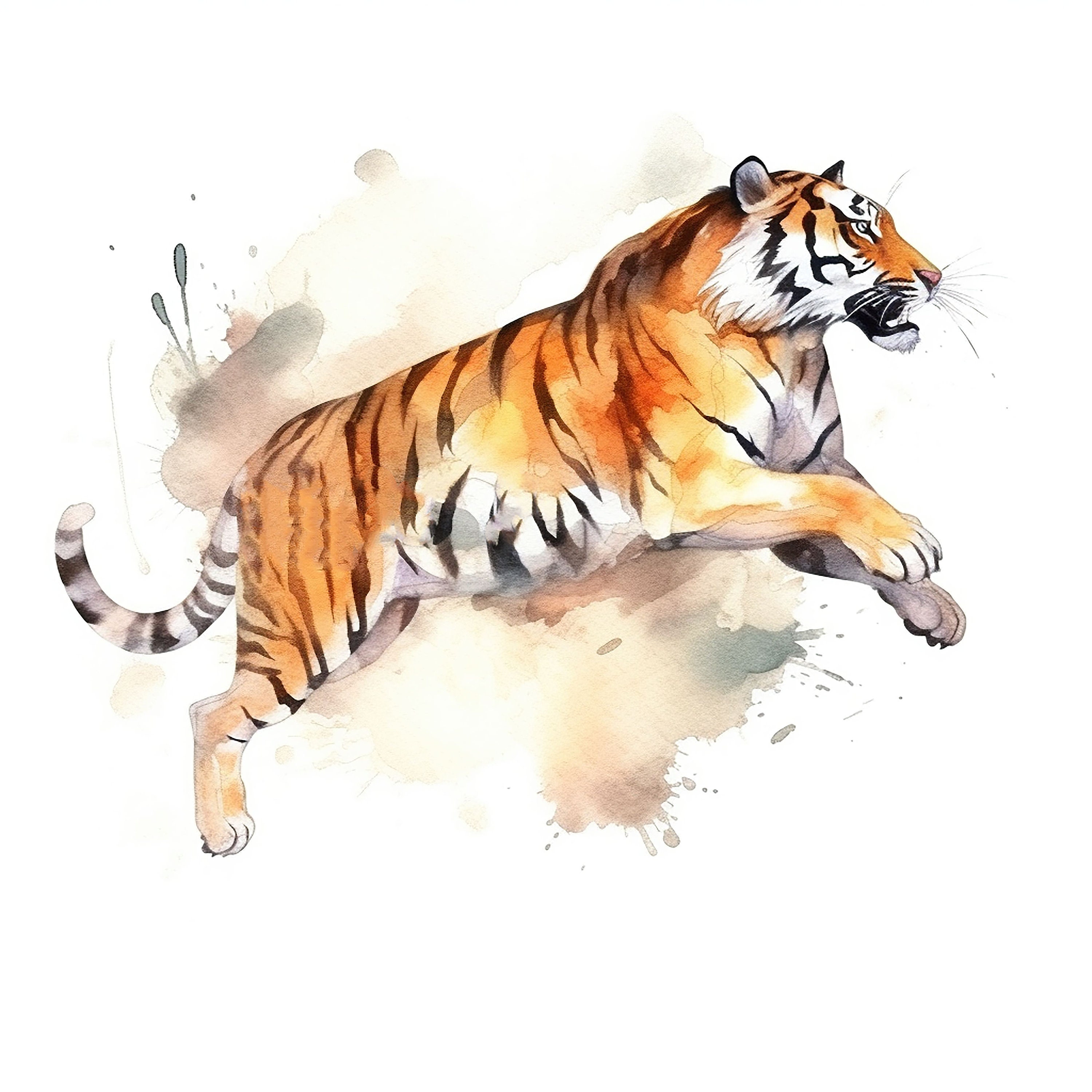 Tiger Water Color Painting 14 High Quality JPG Clipart Pack Digital