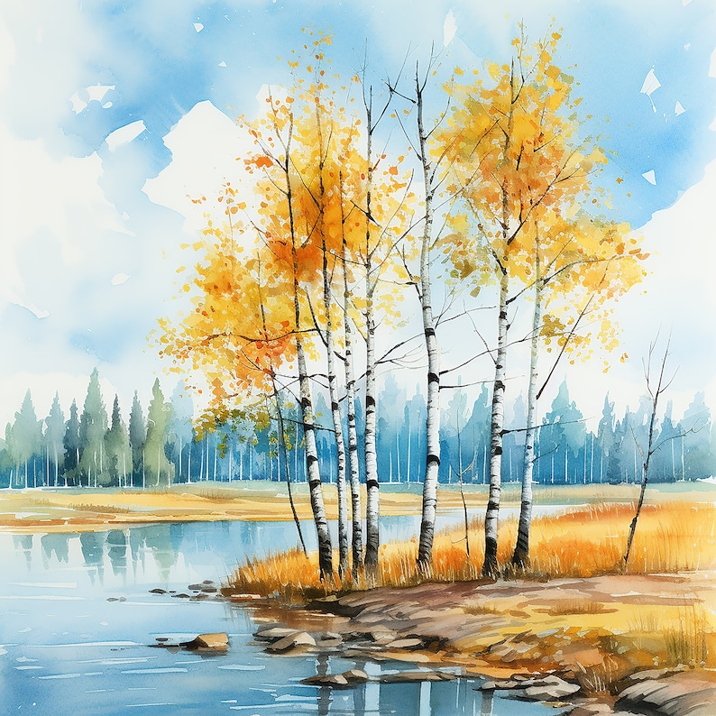 May include: Watercolor painting of a group of birch trees with yellow leaves in the fall. The trees are in front of a lake with a blue sky and white clouds in the background.