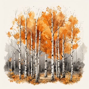 May include: A watercolor painting of a birch tree forest in autumn. The trees are bare, but their leaves are a vibrant orange and yellow. The background is a soft white.