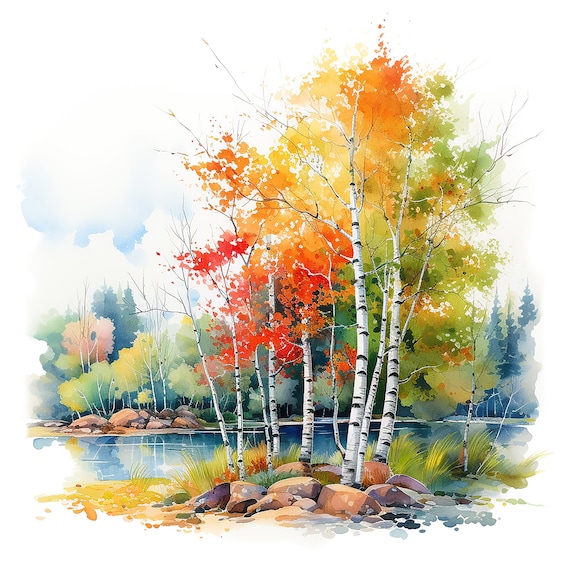 Variety of Birch Trees Water Color Painting | 15 High Quality JPG Clipart Pack | Digital Download | JPG Clip Art | Commercial Use