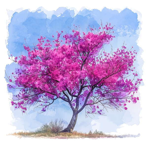 Redbud Tree | Water Color Painting | 15 High Quality JPG Clipart Pack | Digital Download | Printable Art | JPG Clip Art