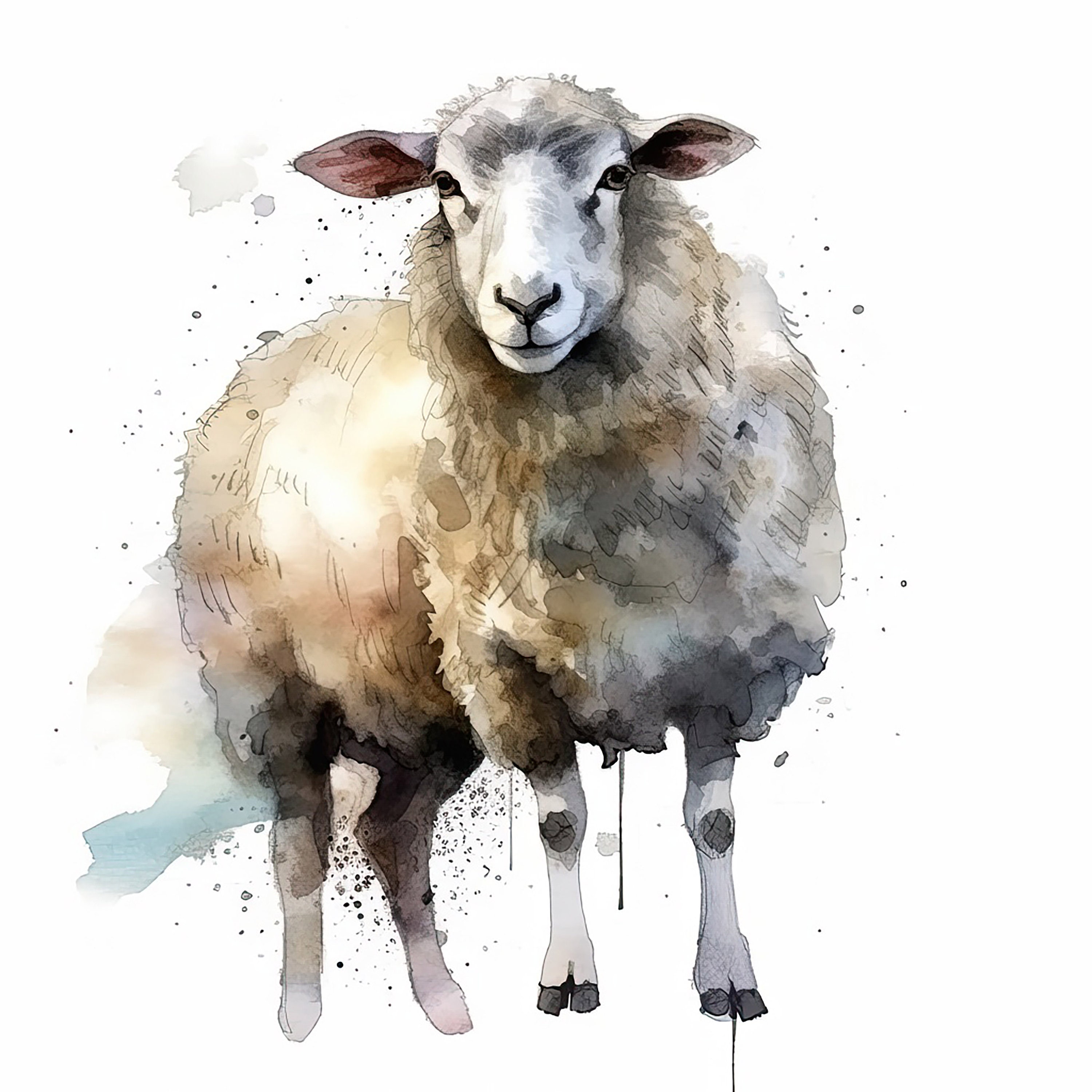 Sheep Water Color Painting | 12 High Quality JPG Clipart Pack | Digital Download | Printable Art | JPG Clip Art
