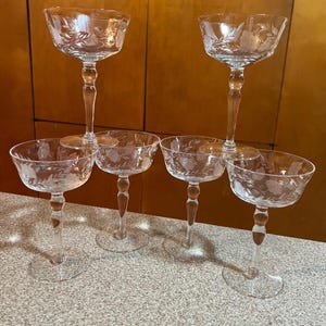 May include: Six clear champagne coupe glasses with etched floral designs. The glasses have a classic stemmed design with a wide, shallow bowl. The etched details add a touch of elegance to the glassware, perfect for special occasions.