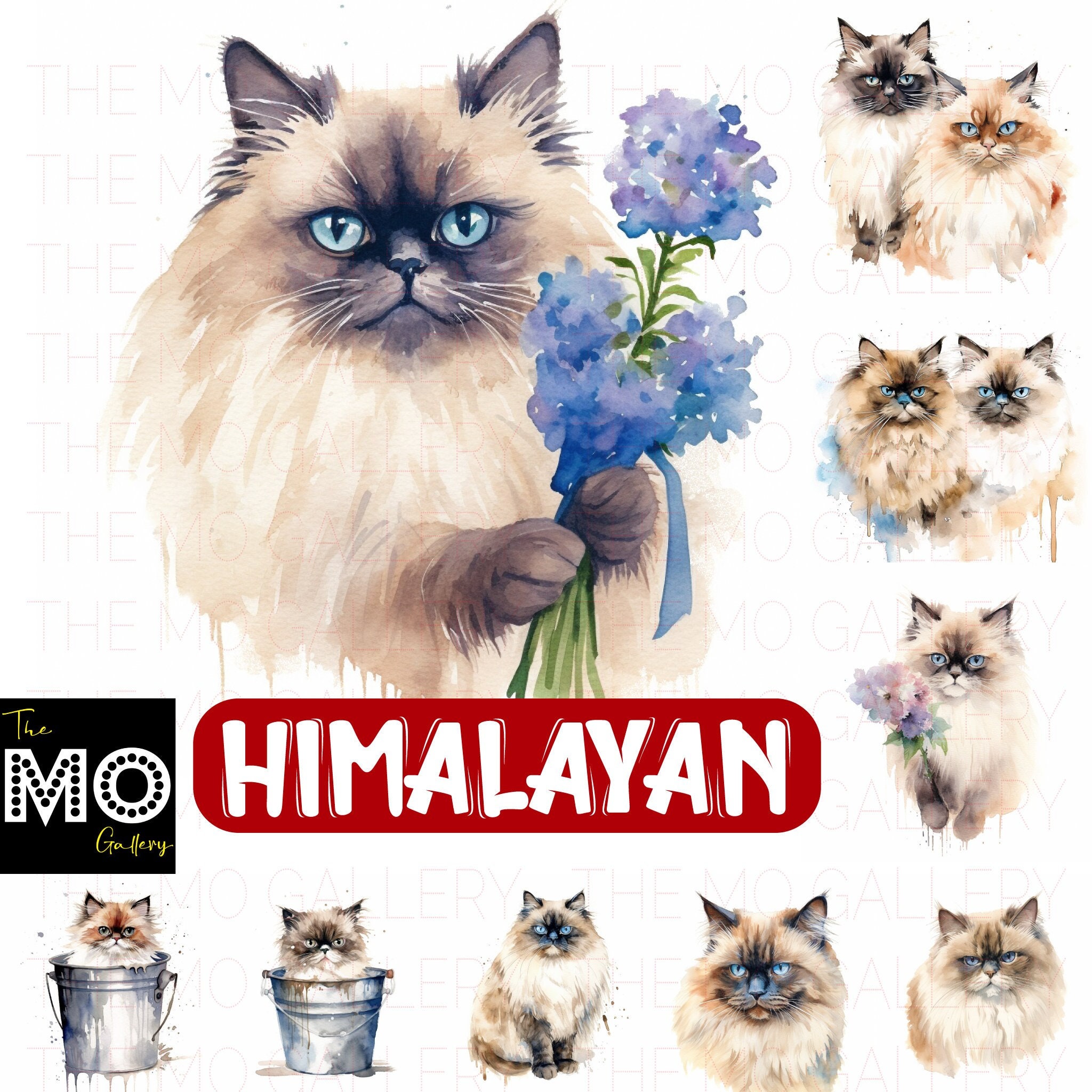 Premium Vector  Himalayan cat mascot