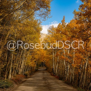 Boreas Pass, Fall Foliage in Colorado