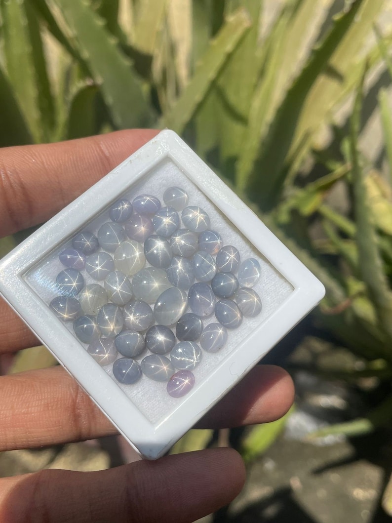 Star Sapphire Natural Six Rays Star Sri Lanka Sapphire Mix Shape Lot Star Sapphire Loose Gemstone Star Sapphire Price 1.50 Carat Average image 3