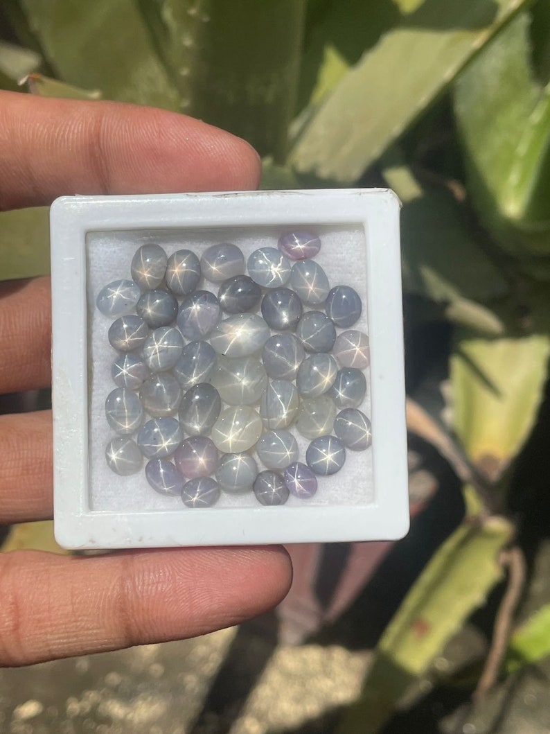 Star Sapphire Natural Six Rays Star Sri Lanka Sapphire Mix Shape Lot Star Sapphire Loose Gemstone Star Sapphire Price 1.50 Carat Average image 1