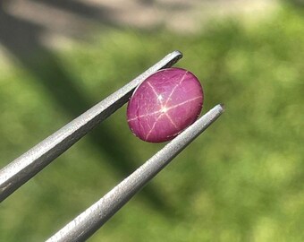 Star Ruby Cabochon: 6x8mm Pink Red Sapphire Gemstone