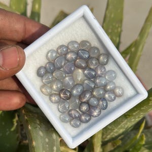 Puede incluir: Una colección de zafiros estrella grises de forma ovalada en una caja blanca. Los zafiros tienen un patrón de estrella en el centro.