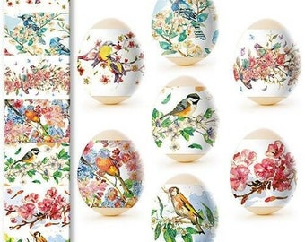 Pellicola termoretraibile - Involucri per uova di Pasqua - Adesivo decorativo per maniche - Uccelli e fiori