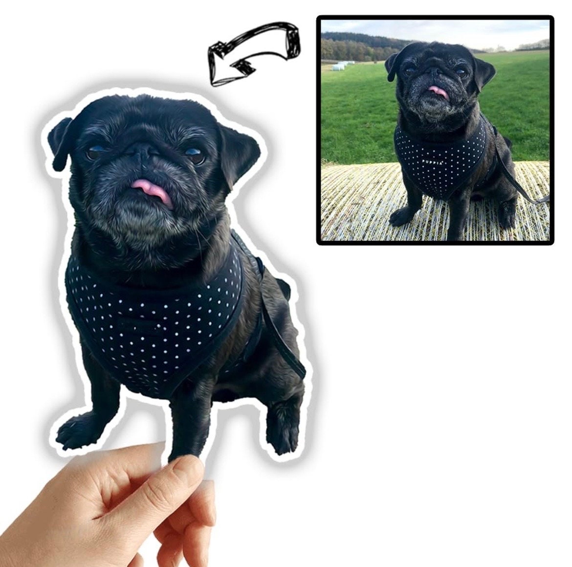 Suchbegriff: 'Lustige Hunde' Sticker online shoppen