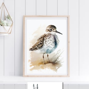 Watercolor Sandpiper Painting Digital Art Download for Home Coastal Decor for Beach House Printable Wall Art Instant Download Sea Bird Art