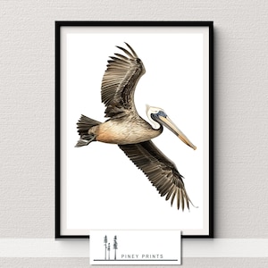 Illustrated Brown Pelican Neutral Nature Print Minimalist Coastal Bird Wall Art Printable Beach House Coastal Home Instant Digital Download