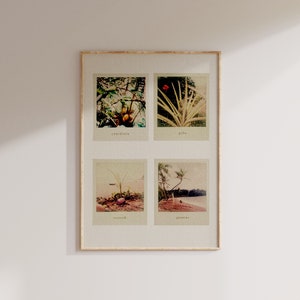 Tropical Polaroid Print: Coastal Beach Photography (Digital Download)