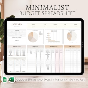 Planilha de orçamento mensal de economia e despesas do Excel, controle de contas de renda semanal e dívidas para organizador financeiro pessoal, modelo quinzenal