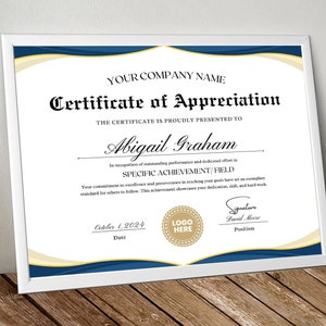 Volunteer Appreciation Certificate - Elegant Design for Gratitude