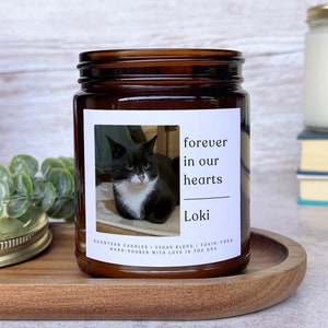 Custom Pet Memorial Candle, Cat Memorial Gifts, Dog Loss Gifts, Dog Remembrance Gifts, Pet Sympathy, Forever In Our Hearts, Passing Away