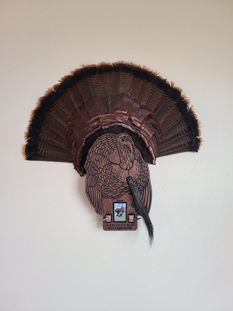 K&ouml;nnte beinhalten: Ein h&ouml;lzerner Truthahn-F&auml;cherhalter mit einem braunen und schwarzen Truthahn-Schwanzf&auml;cher, einer braunen Truthahn-Silhouette und einem kleinen Foto eines Truthahnj&auml;gers. Der Halter hat eine Plakette mit dem Text "84.3 lbs. The "Y" 11.1/16" Spread" und "Taken on April 15, 2023".
